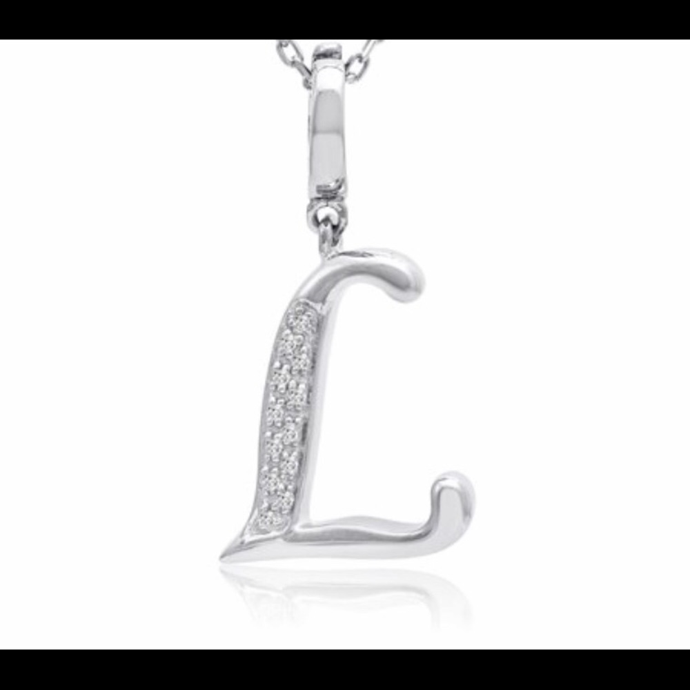 NEW IN BOX! Amanda Rose L necklace
